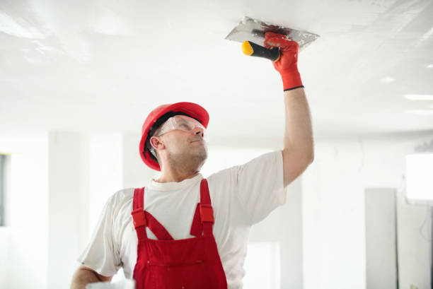 Best Drywall Removal and Disposal  in Grant, NE